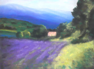 Lavender Fields