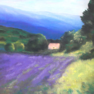 Lavender Fields