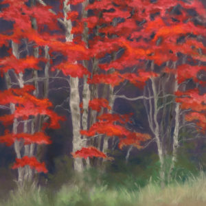 Passion Framed Canvas Giclee