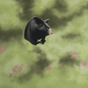 Spring Bear In The Woods