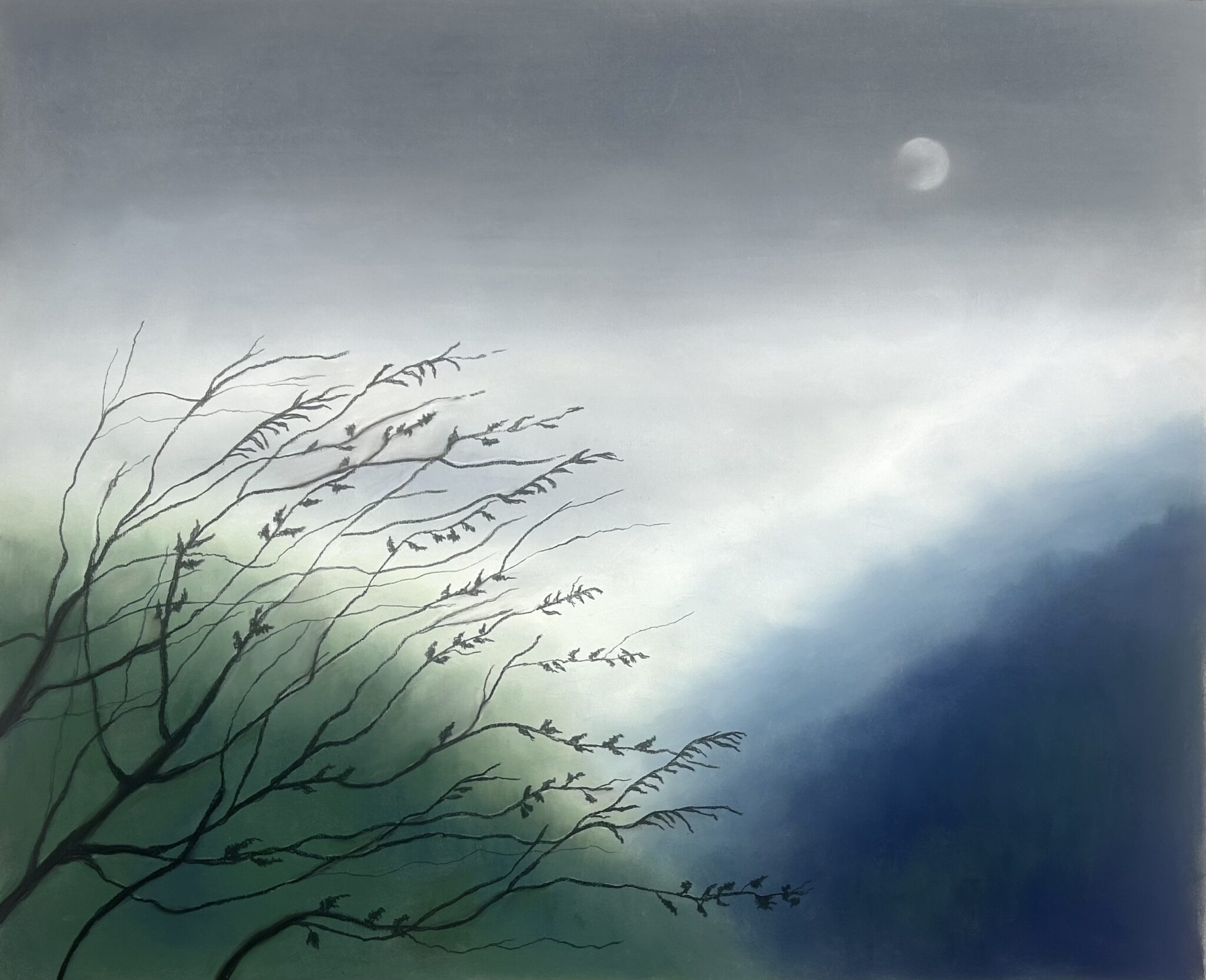 Through The Branches